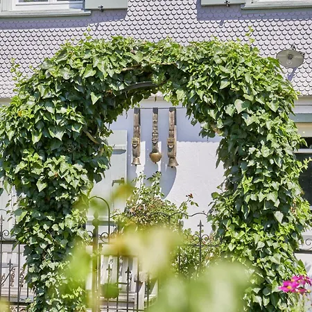 Flat Wangen im Allgaeu