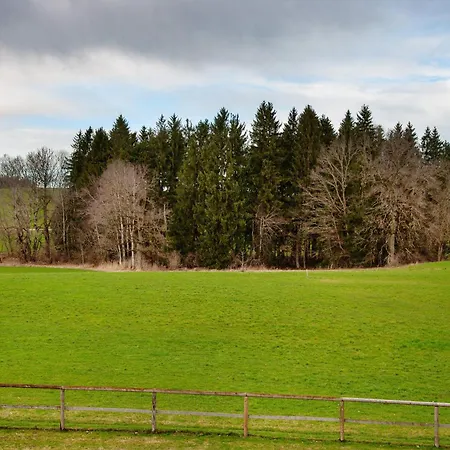 Flat アパート ヴァンゲン・イム・アルゴイ