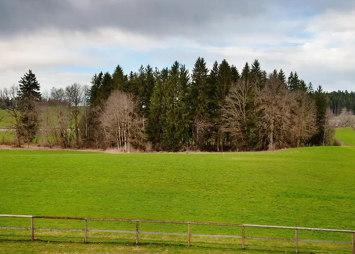 Flat Appartement Wangen im Allgäu