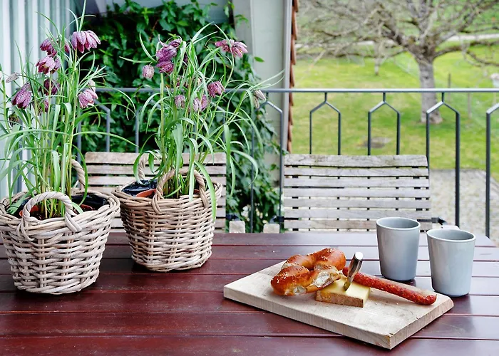 Flat Wangen im Allgäu